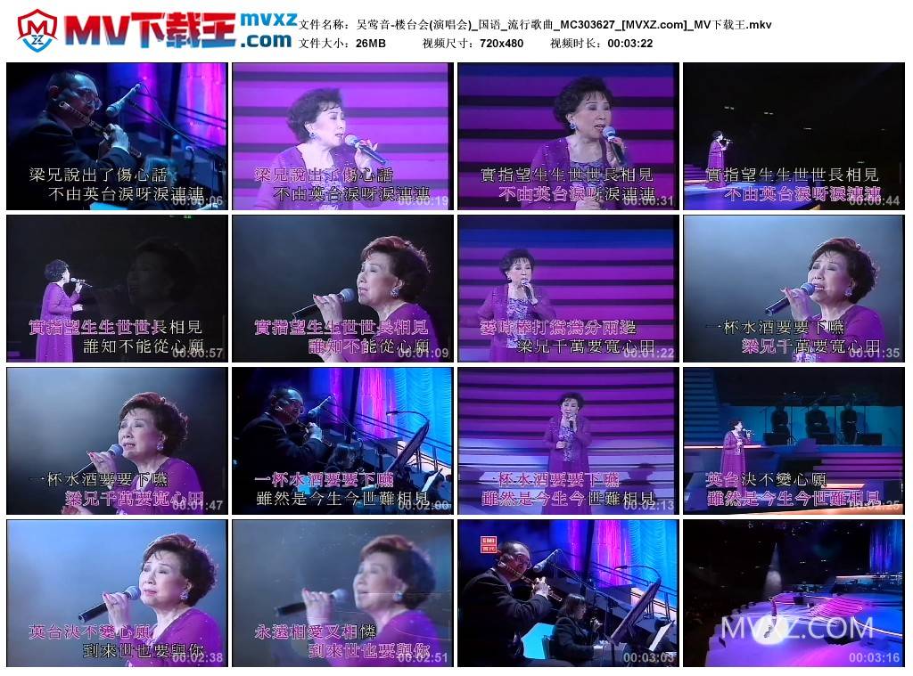 吴莺音-楼台会(演唱会)_国语_流行歌曲_MC303627